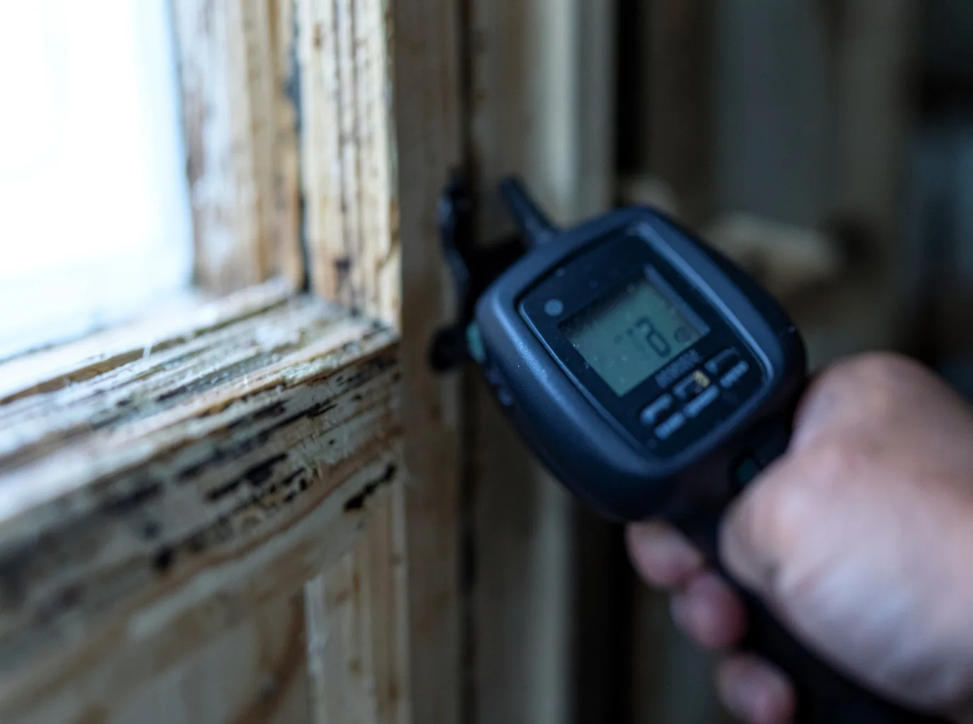 Moisture Inspection And Documentation in Milford, MA